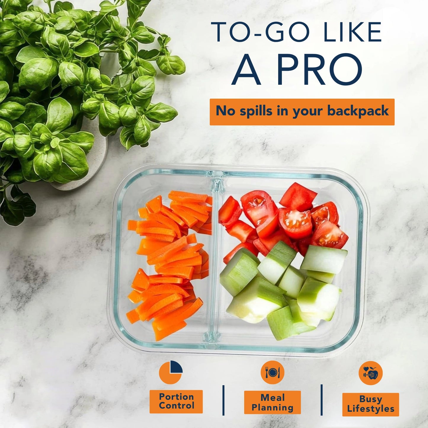Borosilicate Glass Lunch Box with 2 Compartments & Leak-Proof 4-Side Lock Lid