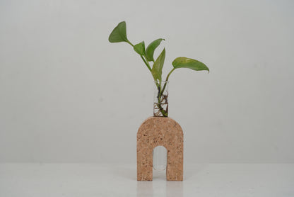 Cork Test Tube Planter