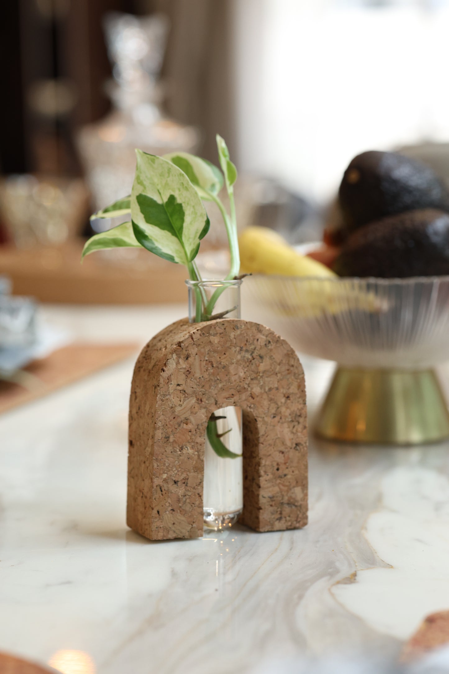 Cork Test Tube Planter