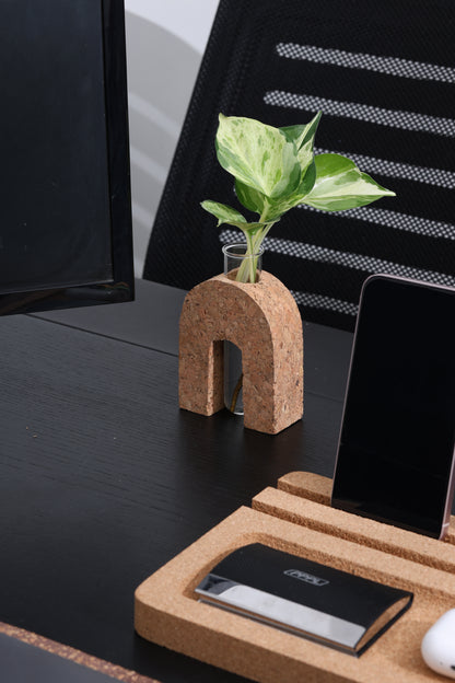 Cork Test Tube Planter