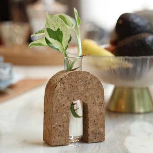 Cork Test Tube Planter