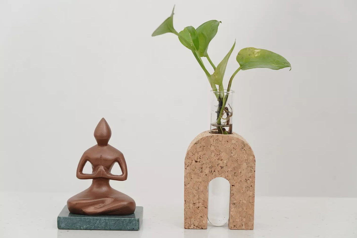 Cork Test Tube Planter