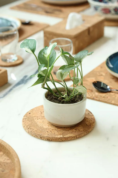 Cork Trivets